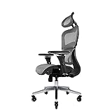 Nouhaus Ergo3D Ergonomic Office Chair - Rolling Desk Chair with 4D Adjustable Armrest, 3D Lumbar Support and Blade Wheels - Mesh Computer /Executive Swivel Chair (Grey)