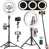 Phone Holder, 10.2' Selfie Ring Light with 65' Adjustable Tripod Stand, Dimmable LED Ring Light Kit for Tiktok/YouTube/Makeup/Photography,Selfie Stick and Ring Light 2 in 1