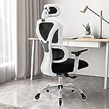 KERDOM Ergonomic Office Chair, Home Desk Chair, Comfy Breathable Mesh Task Chair, High Back Thick Cushion Computer Chair with Headrest and 3D Armrests, Adjustable Height Home Gaming Chair F-White