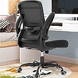Office Chair, Ergonomic Desk Chair with Adjustable Lumbar Support, High Back Mesh Computer Chair with Flip-up Armrests-BIFMA Passed Task Chairs, Executive Chair for Home Office