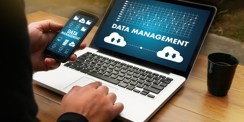 Database-Management-Software