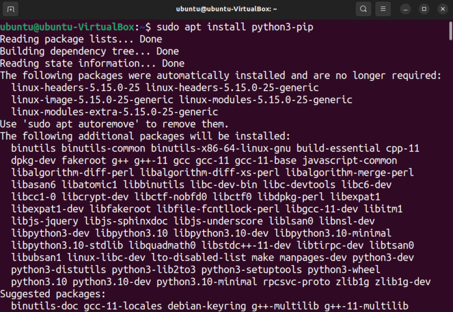 Install Python Pip Linux