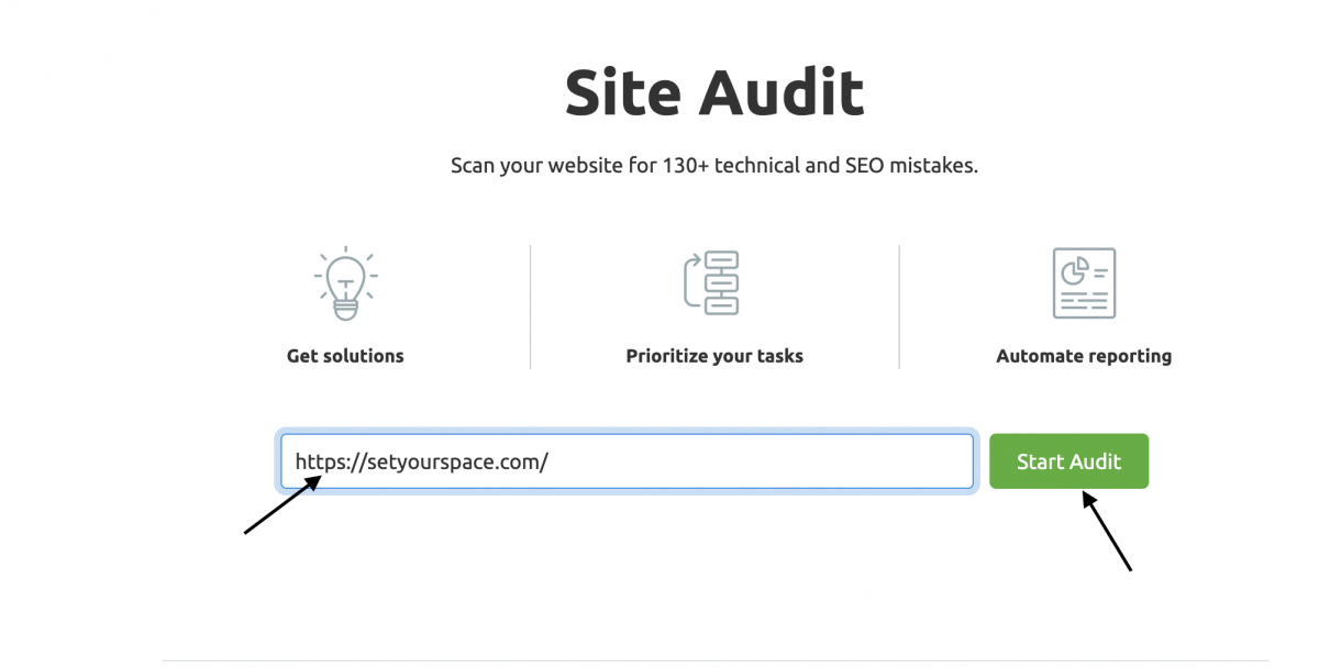 enter the domain name and click start audit