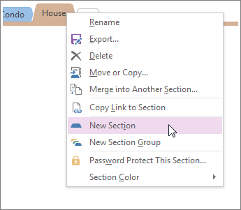 Create new section in Onenote